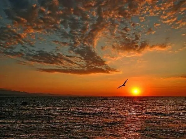 етъра - 2 Rey&mar влас Apartamento Sveti Vlas